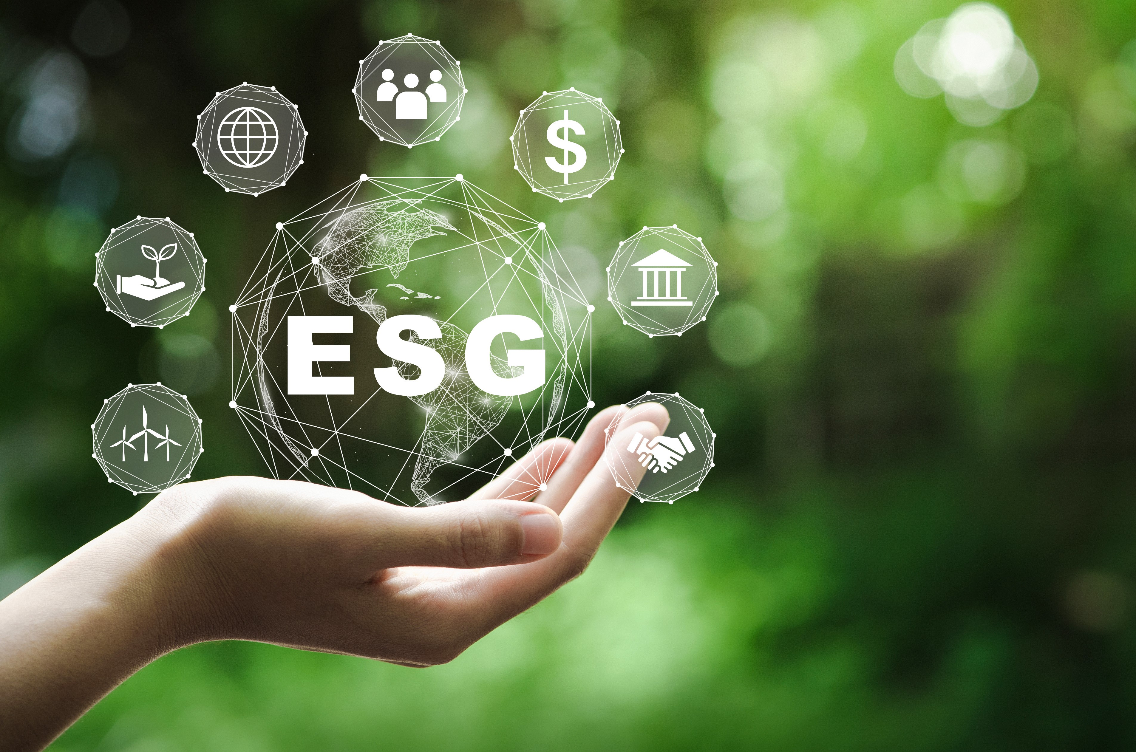 Sustentabilidade e ESG: Contextualização e implicações estratégicas para as empresas