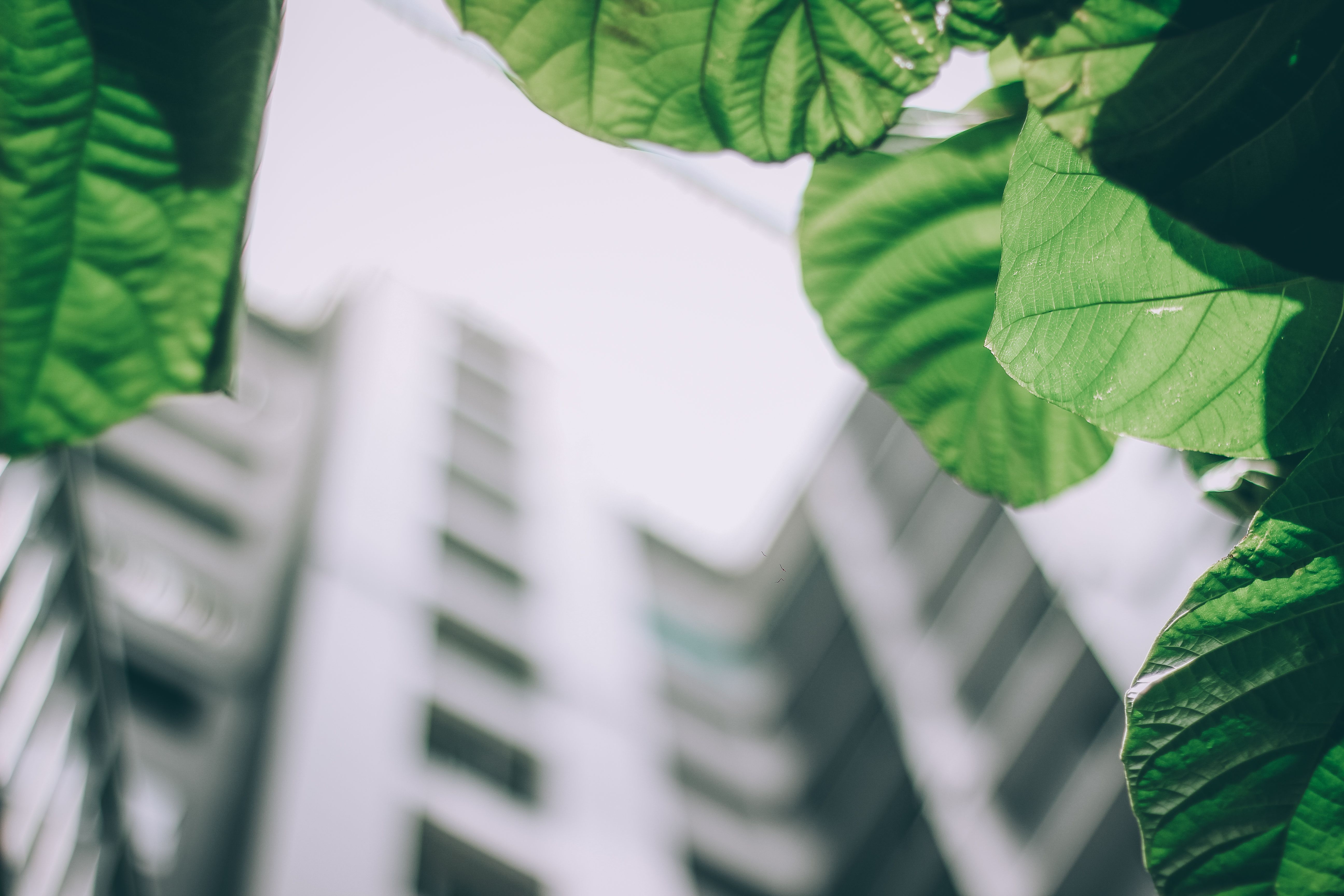 Course Image Sustentabilidade corporativa e ESG - Do diagnóstico ao relatório: Fundamentos